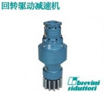 Brevini布雷维尼回转驱动减速机