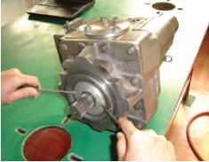 亚星游戏登录正网