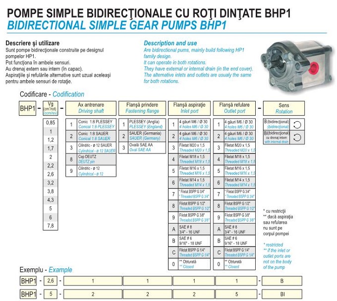 亚星游戏登录正网