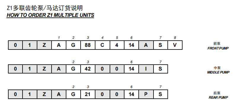 亚星游戏登录正网