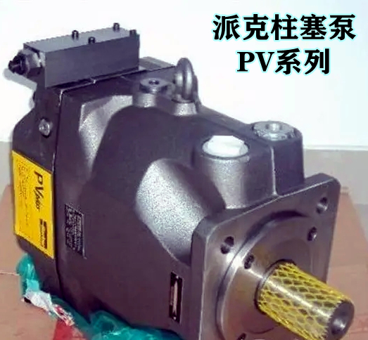 亚星游戏登录正网