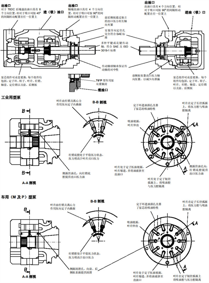 亚星游戏登录正网