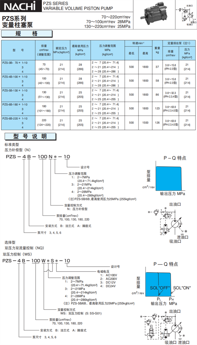 亚星游戏登录正网