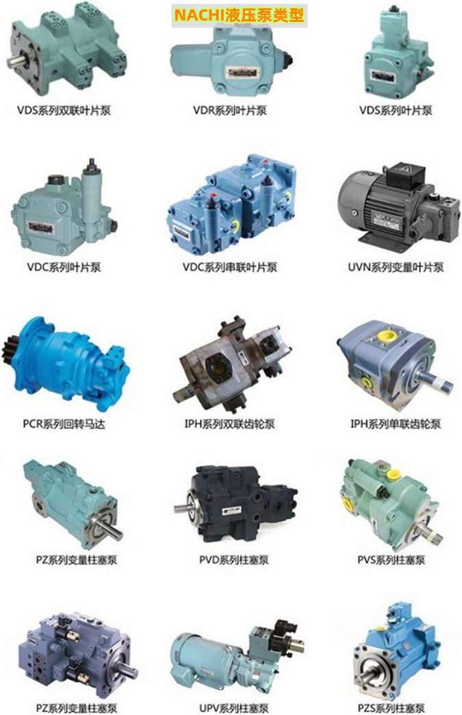 亚星游戏登录正网