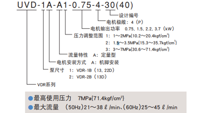 亚星游戏登录正网