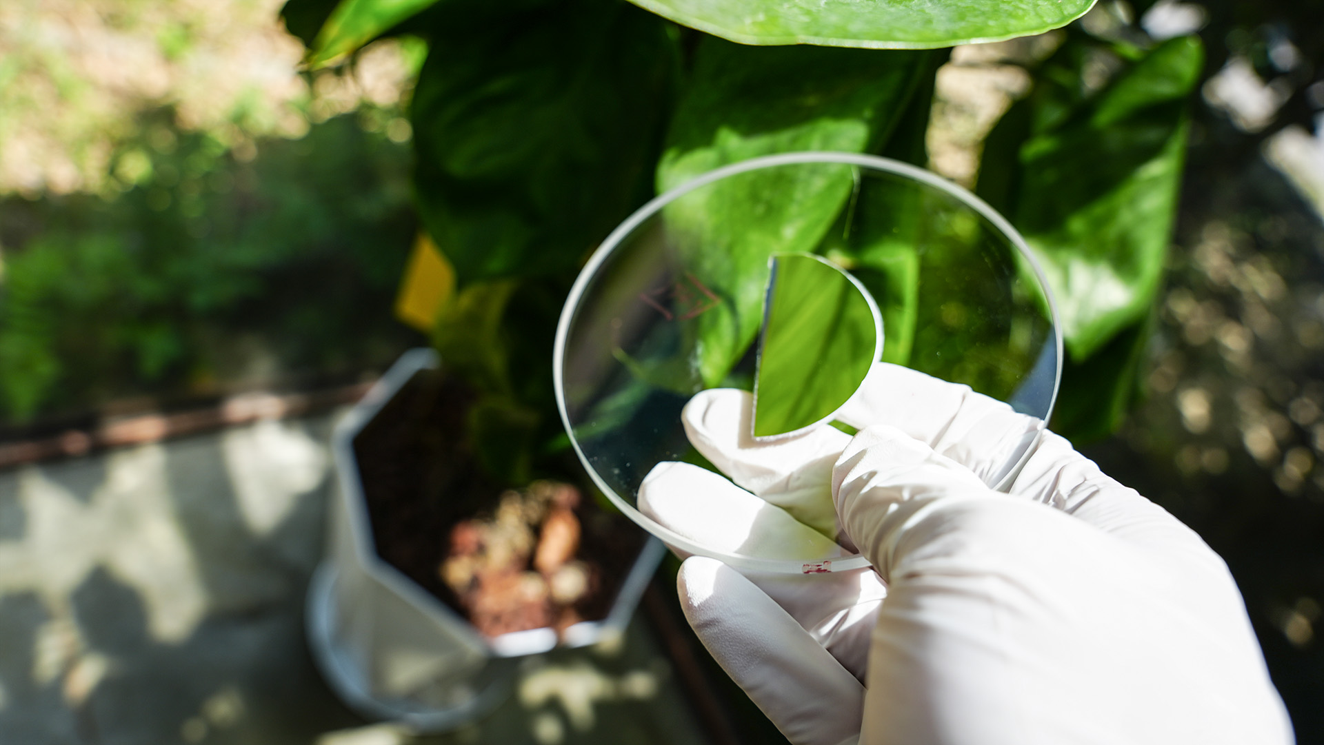 亚星游戏登录正网